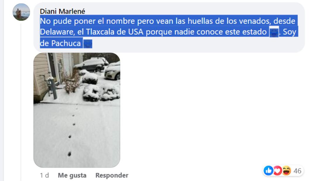 Foto: FB Soy de Hidalgo 100%