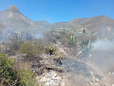 Supera Ixmiquilpan los 120 incendios en lo que va del año; mayoría han sido provocados