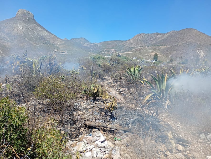 En Ixmiquilpan, el 90 por ciento de los incendios han sido provocados | Foto: especial