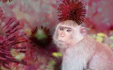 Hidalgo refuerza vigilancia epidemiológica y acciones contra la resistencia antimicrobiana