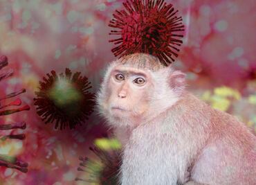 Hidalgo refuerza vigilancia epidemiológica y acciones contra la resistencia antimicrobiana