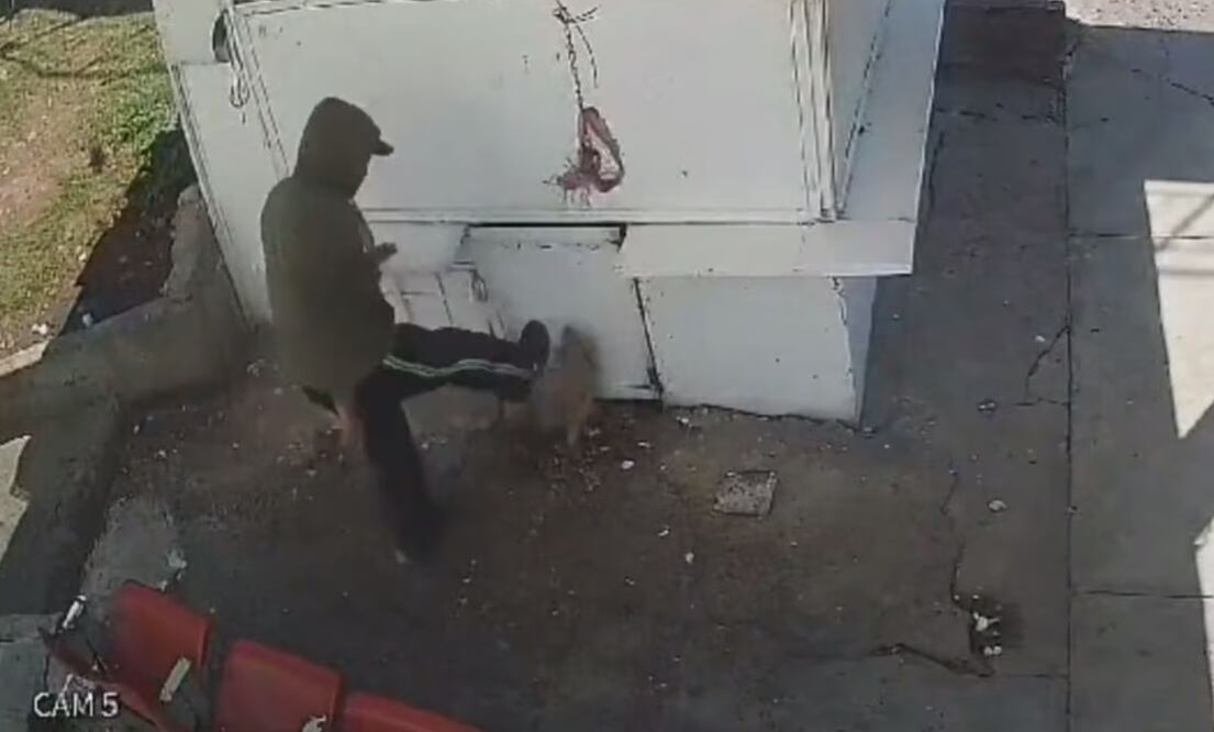 El trabajador de limpia de Naucalpan dio una golpiza a un perrito que le ladró al camión de basura | Captura de video