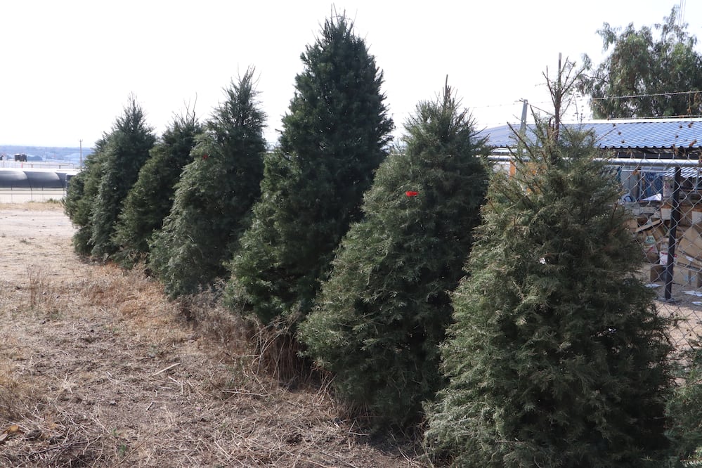 ¡Súmate al cuidado del medio ambiente! Foto: Semarnath