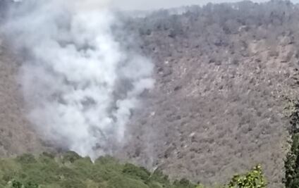 900 hectáreas pérdidas por incendio forestal