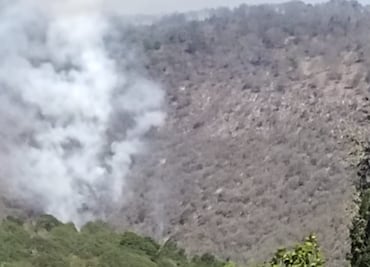 900 hectáreas pérdidas por incendio forestal