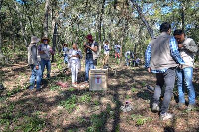 Liberan al tigrillo Zintla en Los Mármoles