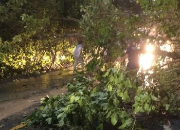 Tras tormenta ríos incrementan su cauce en la Huasteca