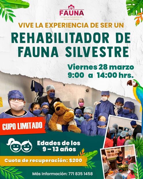 Facebook: Unidad de Rehabilitación de Fauna Silvestre Pachuca
