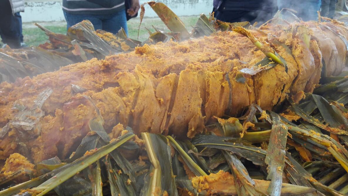 En Santiago de Anaya realizaran segunda muestra de zacatamal 

Foto: especial