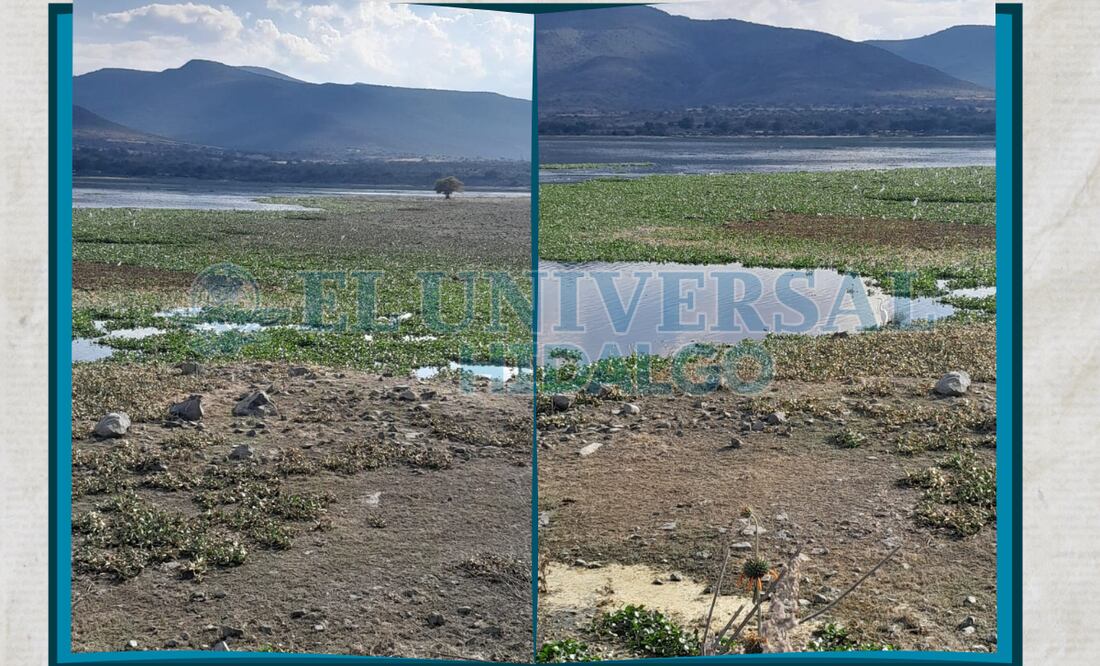 En Alfajayucan hay dos presas funcionales: la Rojo Gómez y la Vicente Aguirre, además de otros pequeños embalses en centros turísticos | Fotos: Erika Gutierrez