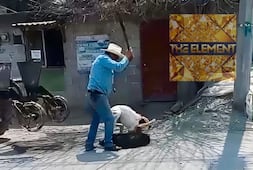 Indignación en San Salvador por perro atacado a machetazos durante pelea entre canes