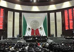 Diputados avalan elevar penas por tala ilegal y contaminación de ríos y subsuelo; envían reforma al Senado 