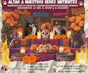 Tulancingo montará altar para mascotas y realizará concurso de disfraces por Halloween