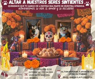 Tulancingo montará altar para mascotas y realizará concurso de disfraces por Halloween
