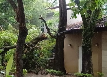 Derrumbes bloquean la carretera federal Pachuca–Tampico en la Sierra y Huasteca hidalguense