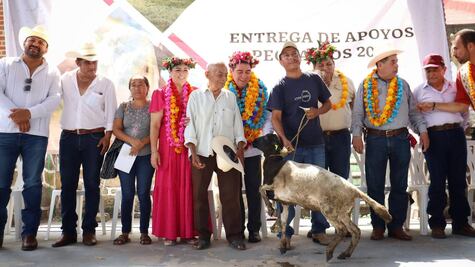 Vientres ovinos y aves de doble propósito, para habitantes de Jaltocán 