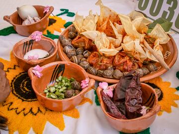 Dos hidalguenses entre los finalistas del concurso ¿A qué sabe la patria?