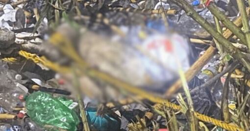 Hallan cuerpo sin vida en canal de aguas negras en Tlahuelilpan