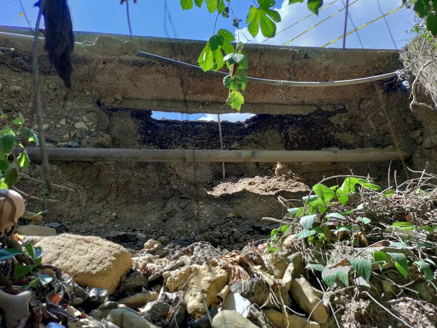 Foto:Francisco Bautista