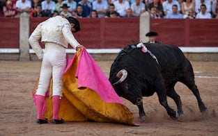 Congreso de Hidalgo amplía plazo para analizar iniciativa contra la tauromaquia