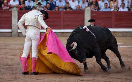 Congreso de Hidalgo amplía plazo para analizar iniciativa contra la tauromaquia
