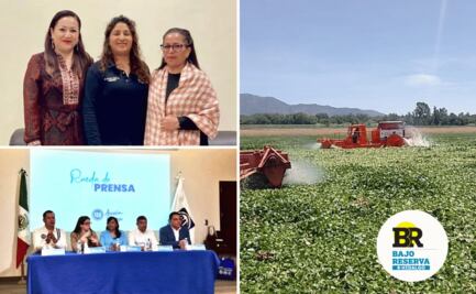 Bajo Reserva Hidalgo 04/08/25