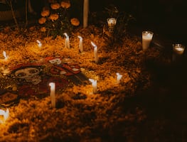 Cardonal celebra 10 años de tradición con el Festival de Día de Muertos “Alianza por la Tierra y la Vida”