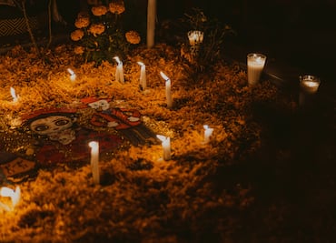 Cardonal celebra 10 años de tradición con el Festival de Día de Muertos “Alianza por la Tierra y la Vida”