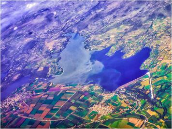 Retiran 200 toneladas de lirio en la presa Endhó