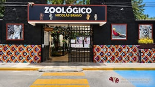 Zoológico de Tulancingo recibe 22 animales rescatados por Profepa