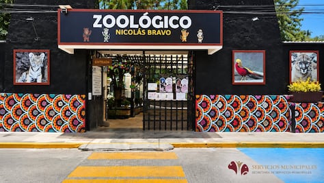 Zoológico de Tulancingo recibe 22 animales rescatados por Profepa