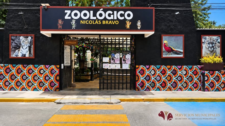 Zoológico de Tulancingo recibe 22 animales rescatados por Profepa