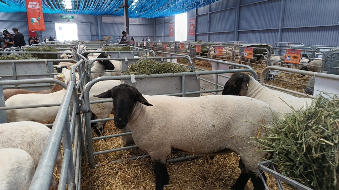 Foto: Lourdes Naranjo