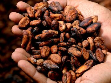 Delegados de Huejutla expresan inconformidad por reparto de cacao para Xantolo 2025