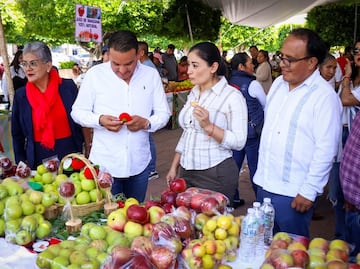 Celebran Feria Regional de la Manzana en Ixmiquilpan