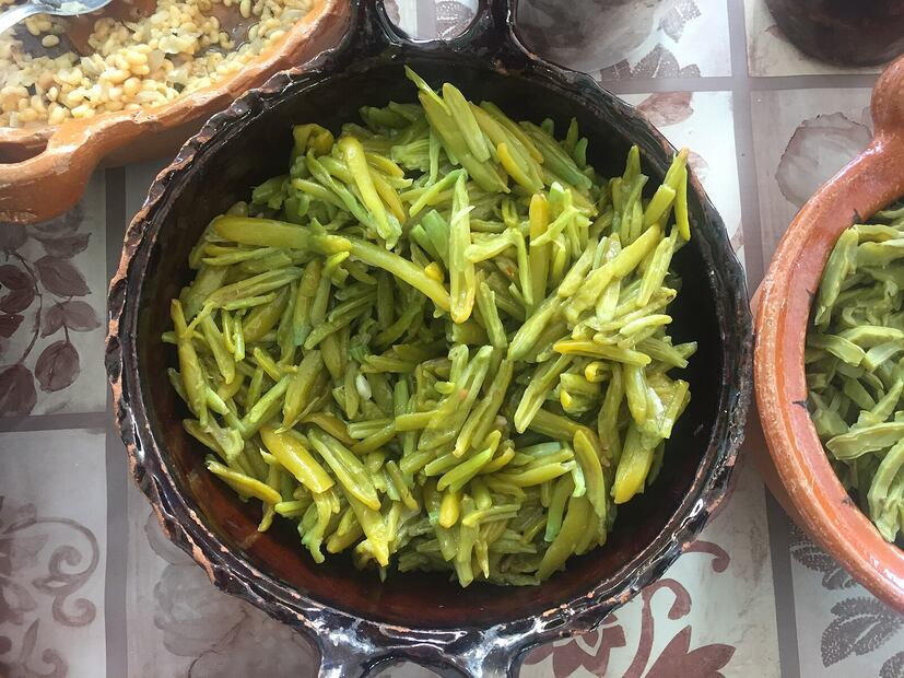 El legado culinario de los gualumbos, una joya poco conocida del maguey en peligro de extinción | Foto: Wikimedia Commons