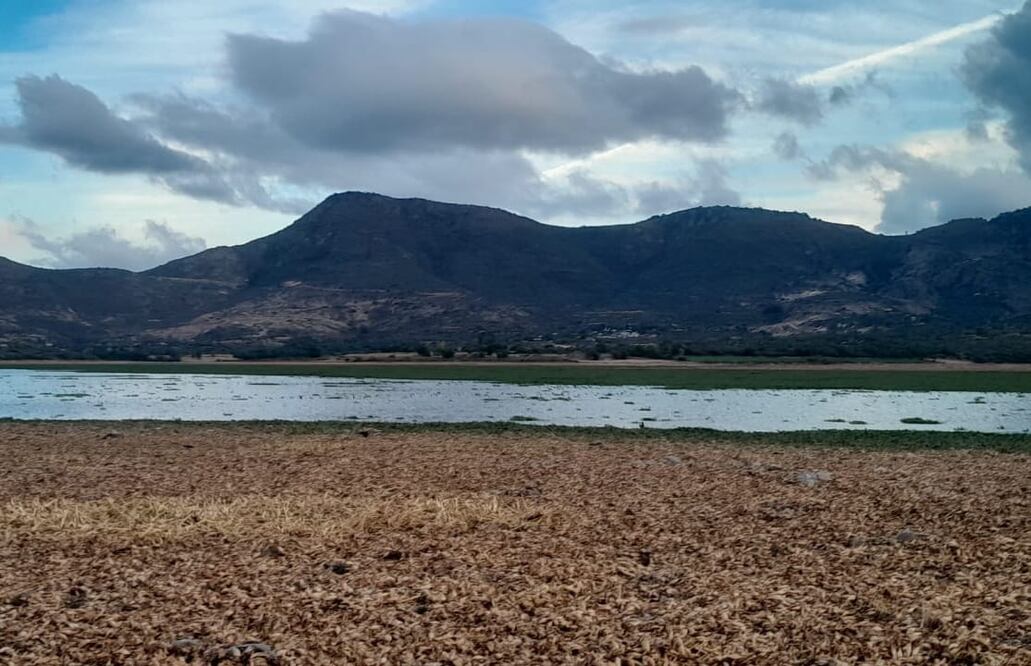 Foto: Erika Gutierrez