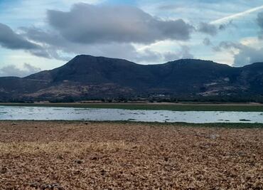 Cuatro municipios de Hidalgo mantienen condiciones anormalmente secas
