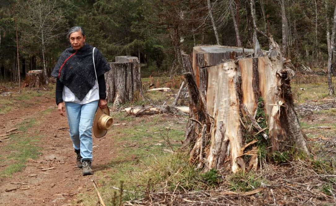 Foto: Archivo El Universal