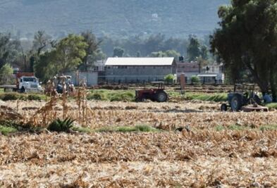 En Hidalgo, nuevas reglas para hectáreas siniestradas; se les pagará a productores 4 mil pesos