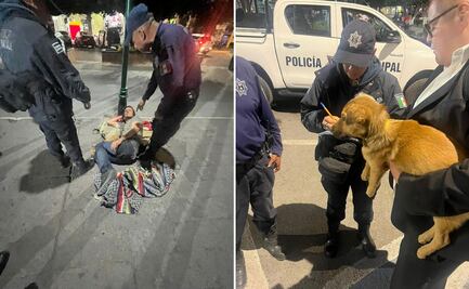 Rescatan perra maltratada en el centro de Ixmiquilpan; es el segundo caso en menos de una semana