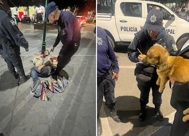 Rescatan perra maltratada en el centro de Ixmiquilpan; es el segundo caso en menos de una semana