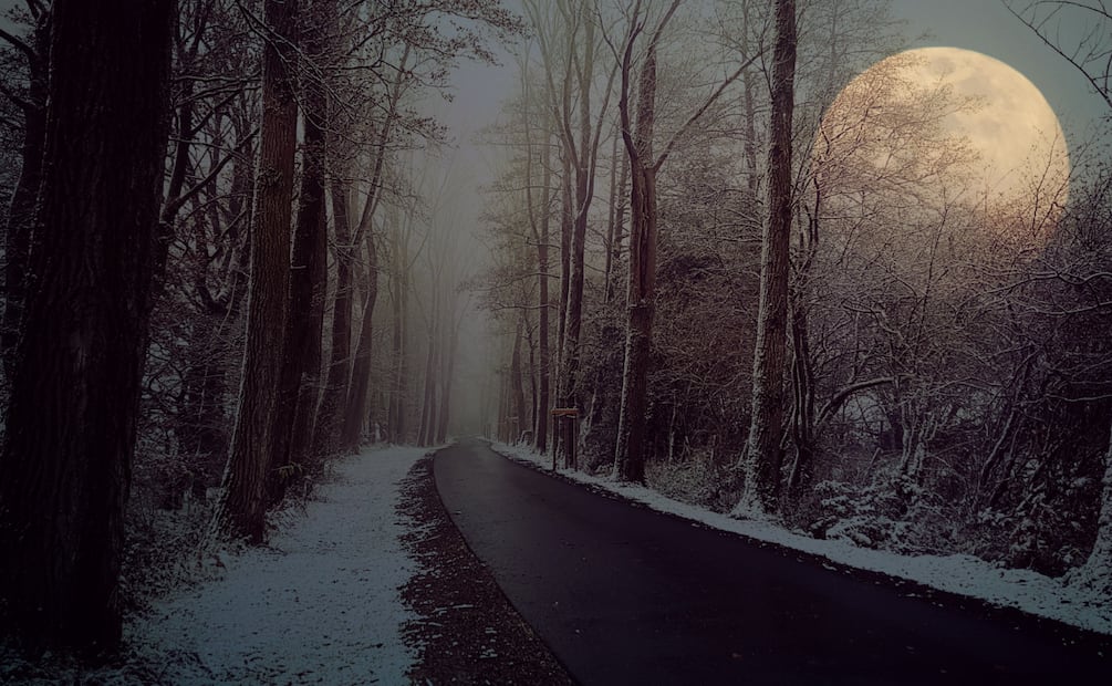 La Luna de Lobo 2024 y cuál es su significado | Foto: Pixabay
