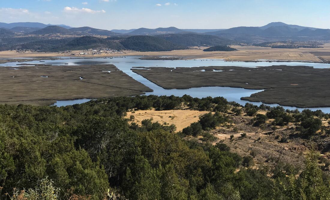 Foto: Wikimedia Commons