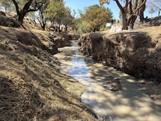 Conagua advierte riesgos por uso de presas y ríos como balnearios en temporada de calor