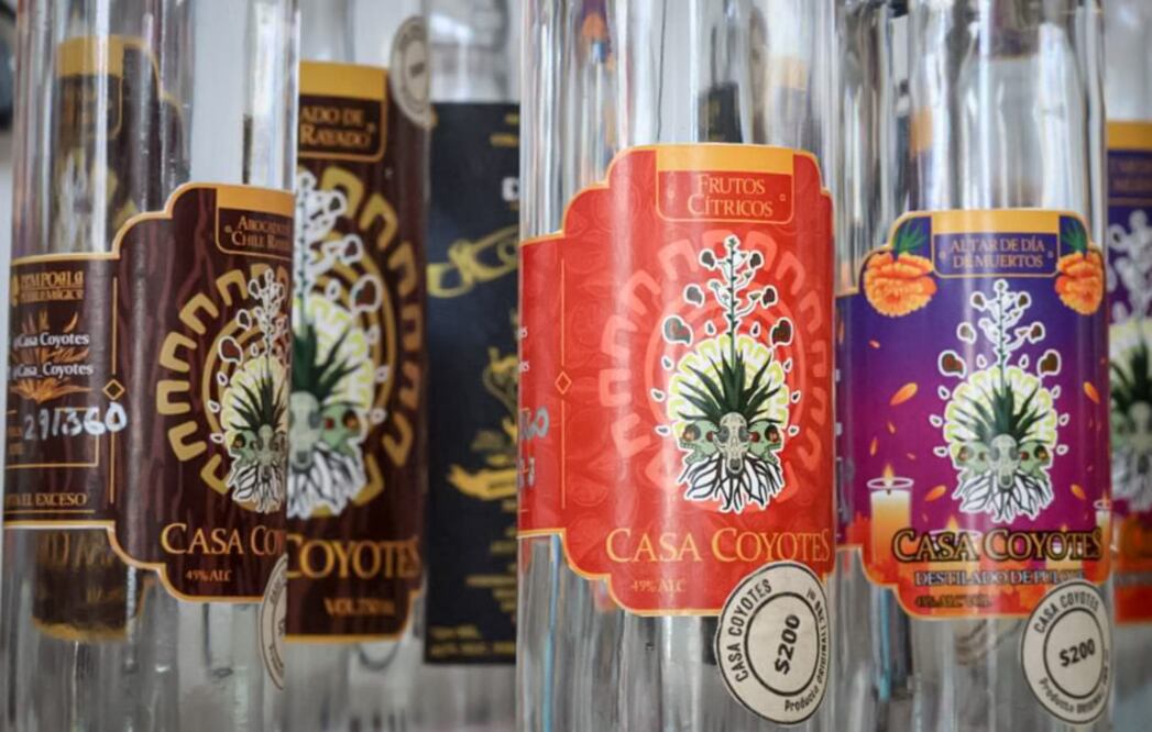 Con el objetivo de impulsar la activación económica de los productores del agave pulquero y sus derivados, el próximo sábado 16 y domingo 17 de diciembre se llevará a cabo el Tercer Encuentro – Festival de Destiladores de Hidalgo en la Hacienda la Cañada, en el municipio de Tepeji del Río. Foto: Gobierno de Hidalgo