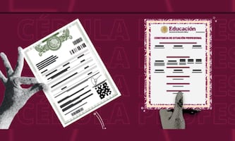 Constancia de Situación Profesional, el nuevo "CV digital"; así puedes obtenerla