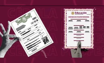 Constancia de Situación Profesional, el nuevo "CV digital"; así puedes obtenerla