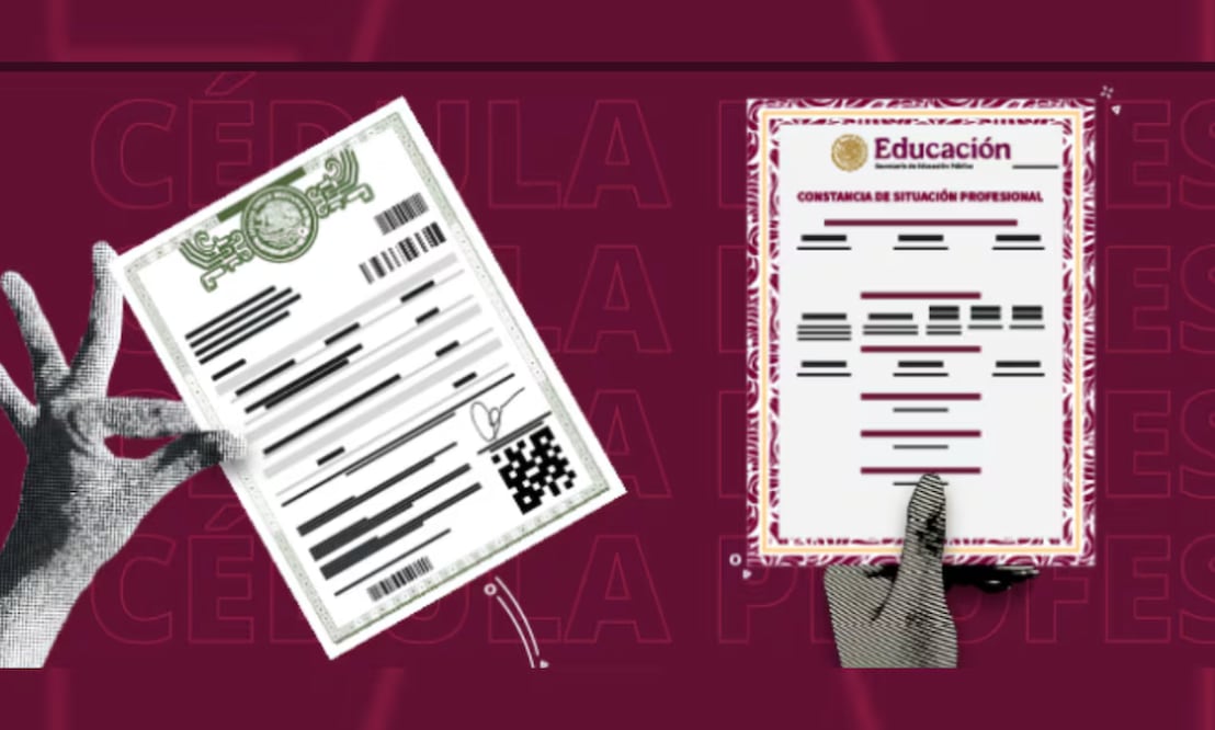 Constancia de Situación Profesional (27/01/2026). Foto: SEP
