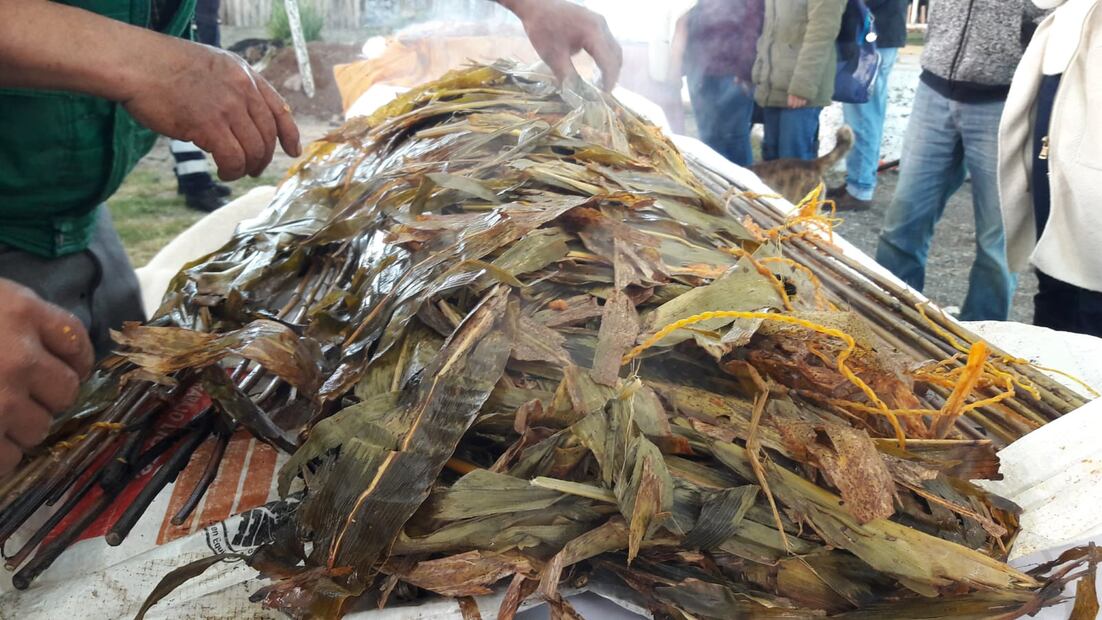 En Santiago de Anaya realizaran segunda muestra de zacatamal 

Foto: especial